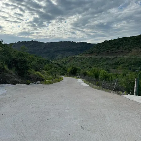 Qyteza &