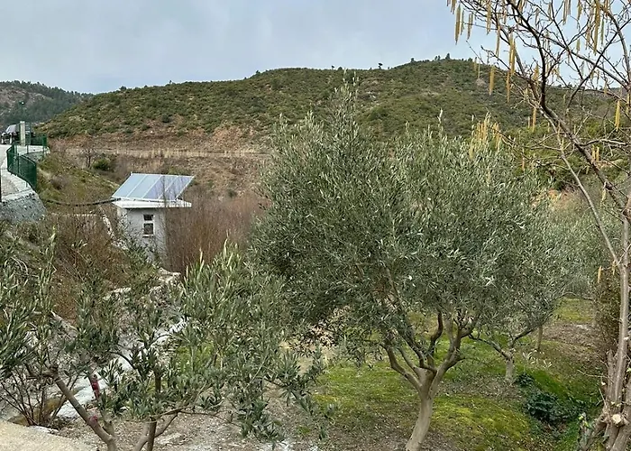 Pensionat Qyteza & 4*